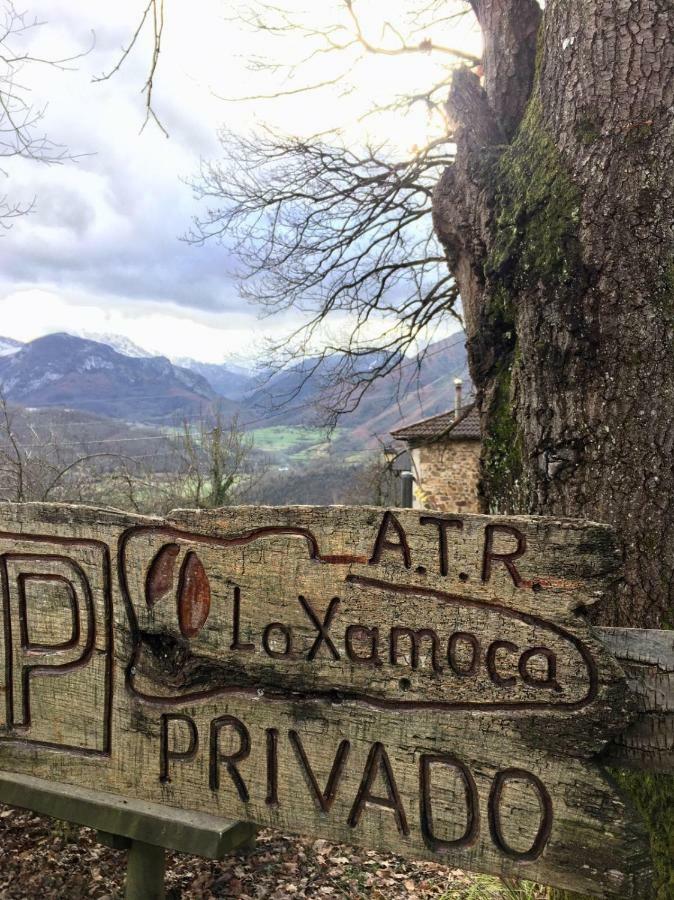 La Xamoca Apartamentos Rurales Campiellos Zewnętrze zdjęcie