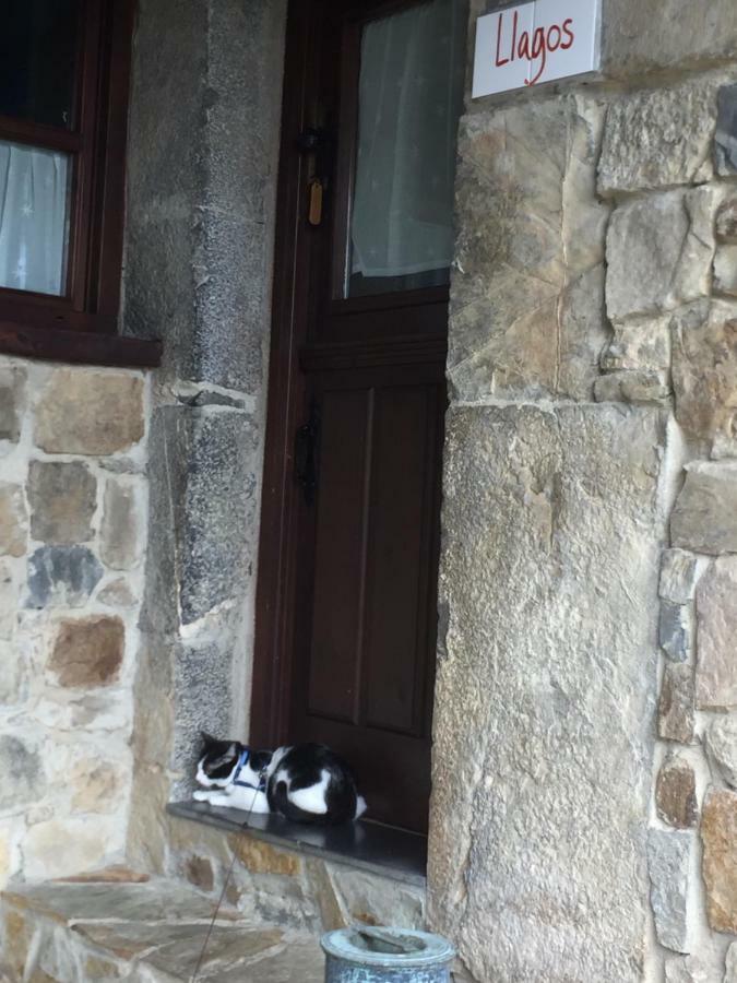 La Xamoca Apartamentos Rurales Campiellos Zewnętrze zdjęcie